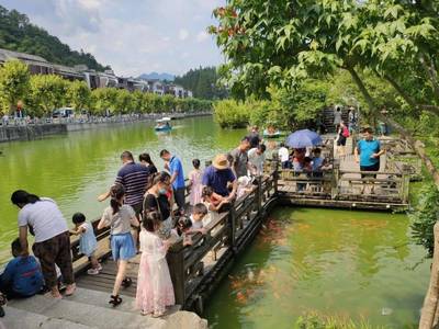 享受一场清凉之旅,井冈山避暑游火热!